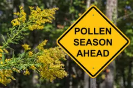 Caution Sign - Pollen Season Ahead